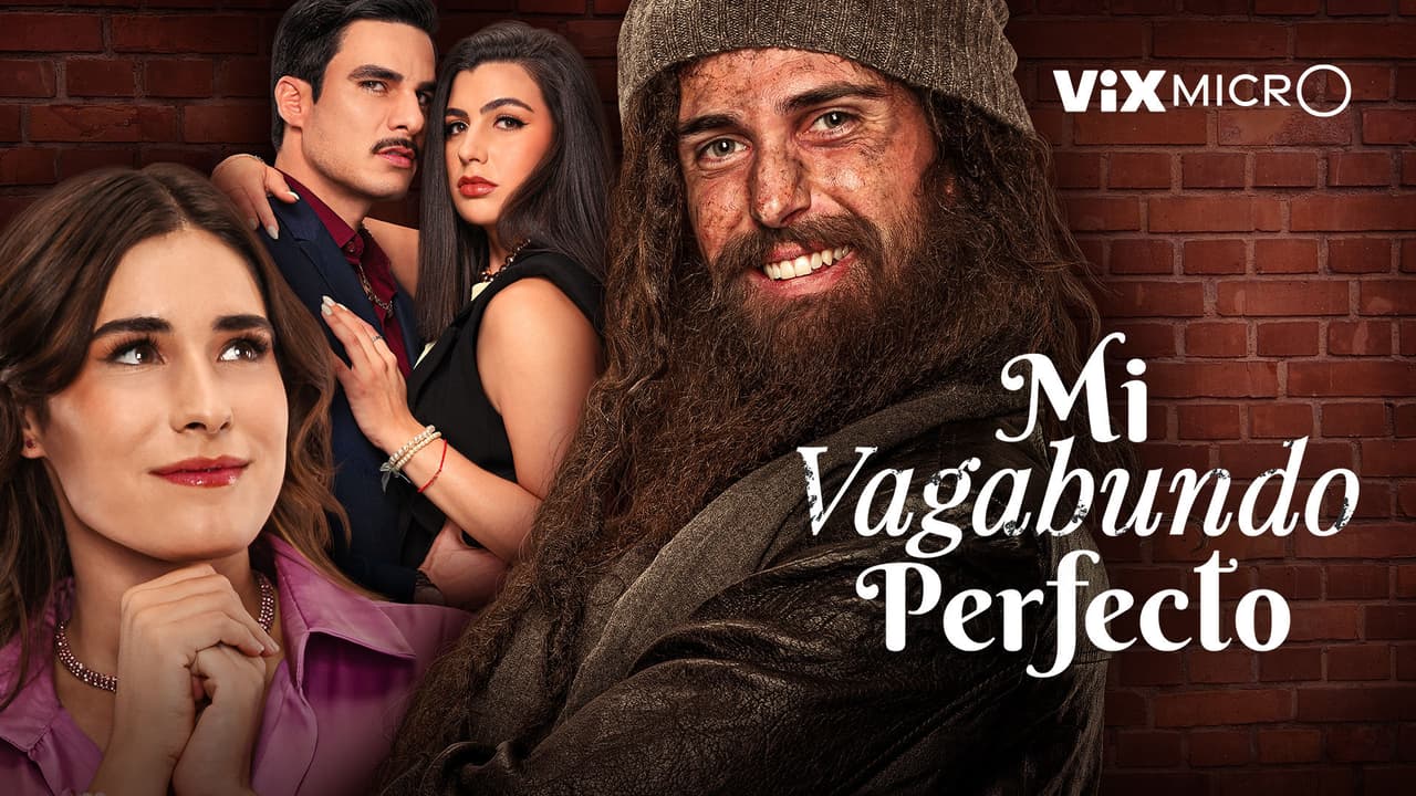 Mi vagabundo perfecto