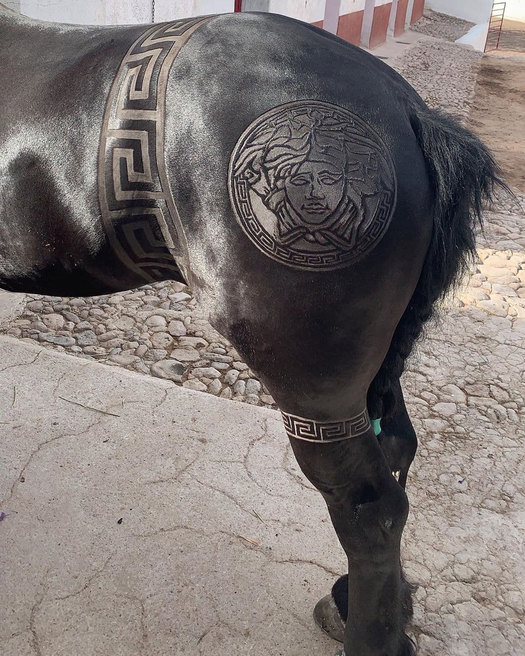 Los caballos que presentan el arte en pelaje son los que acompañan a la familia Aguilar en su espectáculo Jaripeo Sin Fronteras.