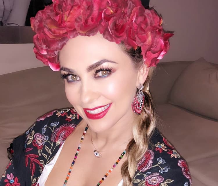 Aracely Arambula ya prepara su retorno a la música