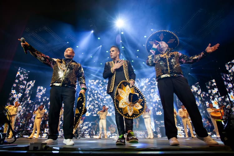 Cañaveral en concierto