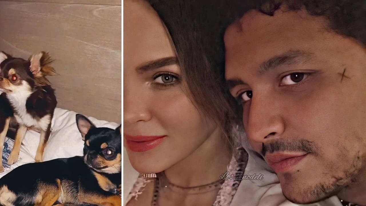 Christian Nodal y Belinda agrandan la familia con la llegada de un nuevo perrito