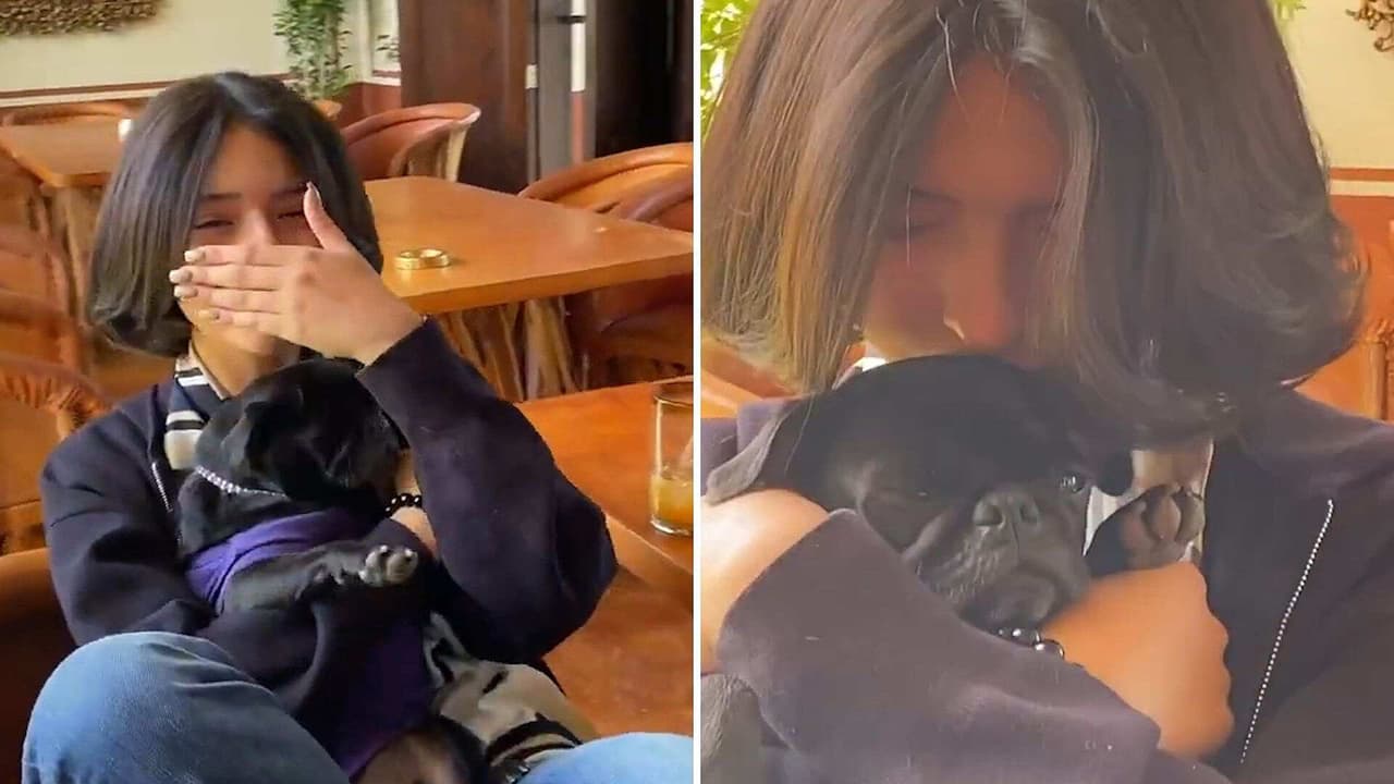 Ángela Aguilar no se aguantó las lágrimas al despedirse de su perrita; no  la verá en dos meses