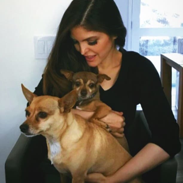 Ana Barbara siempre ha presumido a sus dos perros a través de sus redes sociales, los cuales llevan varios años a su lado.
