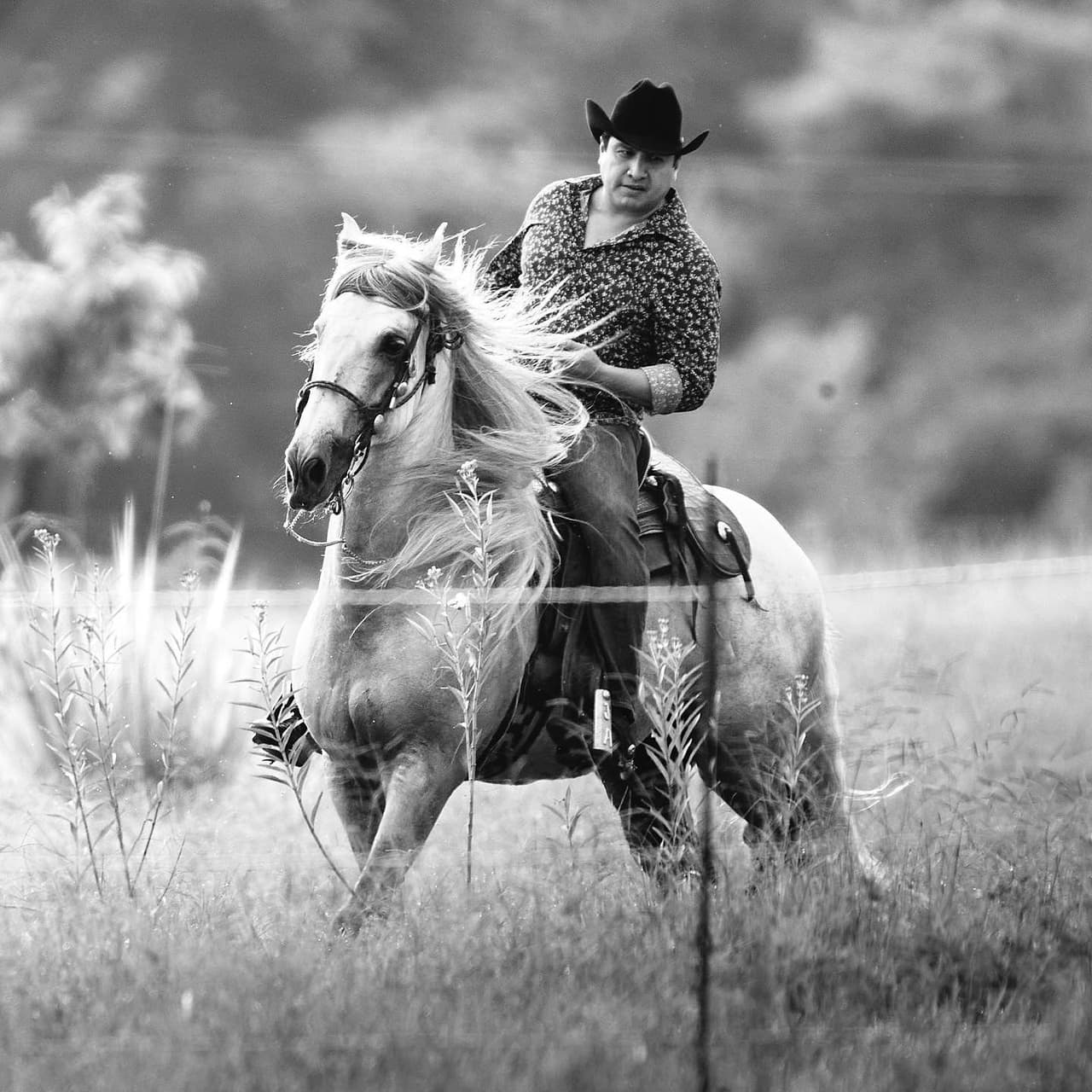 Julión Álvarez es dueño de un gran rancho en Chiapas.