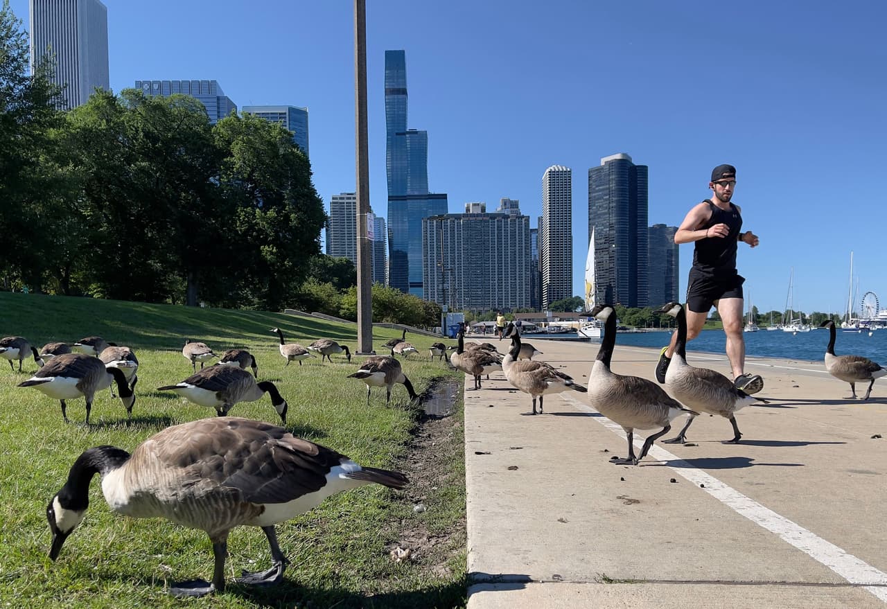 Prepárate para la primavera 2025 en Chicago: actividades gratuitas en familia
