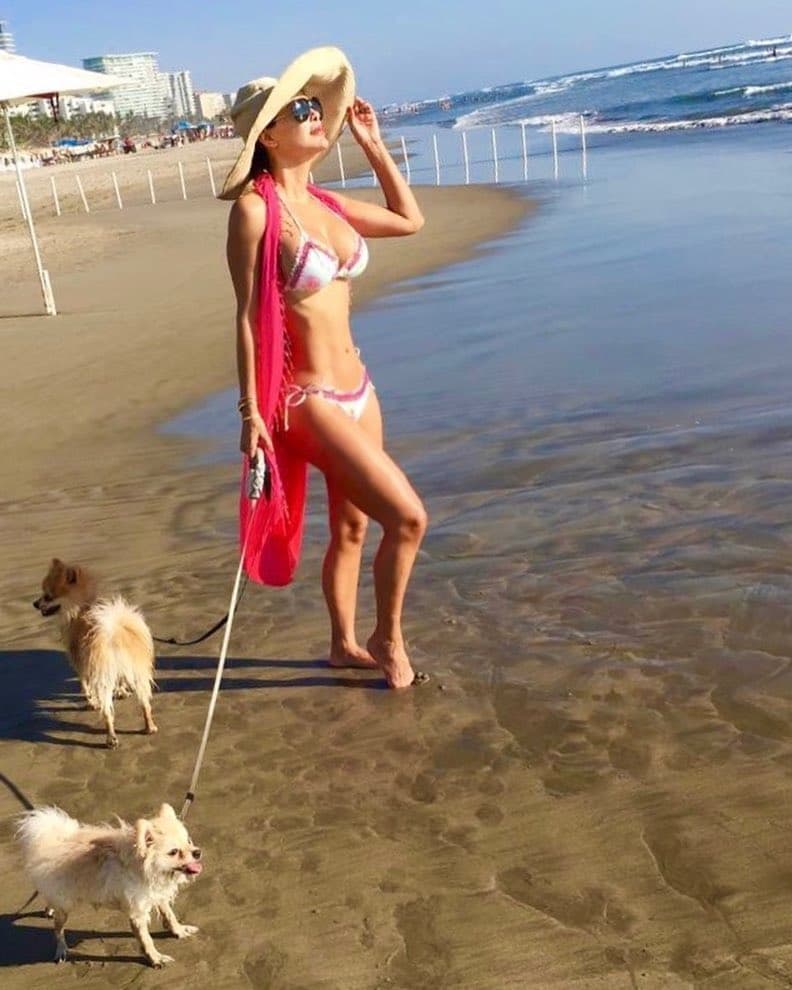 Estos pequeños perros son presumidos por Ninel Conde a través de sus redes sociales, los cuales asegura le alegran el día siempre que los tiene cerca.