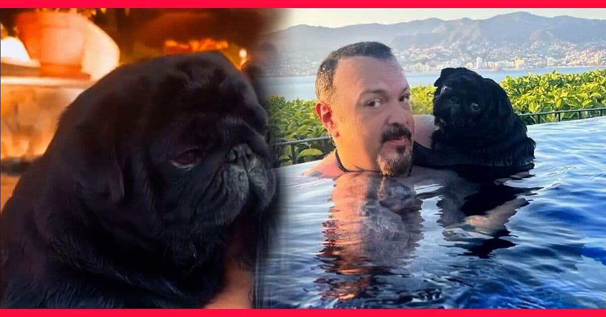 El Gordo Aguilar: disfruta de unas lujosas vacaciones con comida y alberca