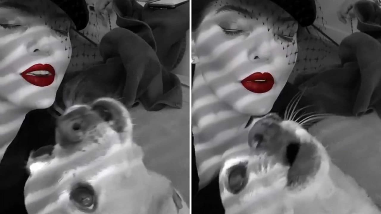 Al ritmo de Lupita D’Alessio, Ana Bárbara se avienta palomazo y su perrita Lola le hace segunda