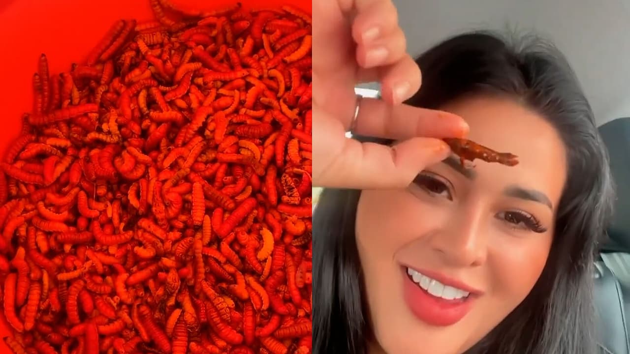 Gomita presume su amplio paladar y le entra a los chapulines