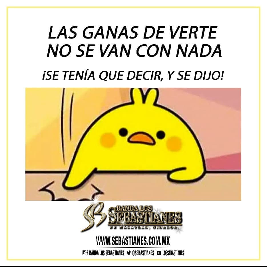 Los Sebastianes se subieron al tren del meme "se tenía que decir y se dijo"