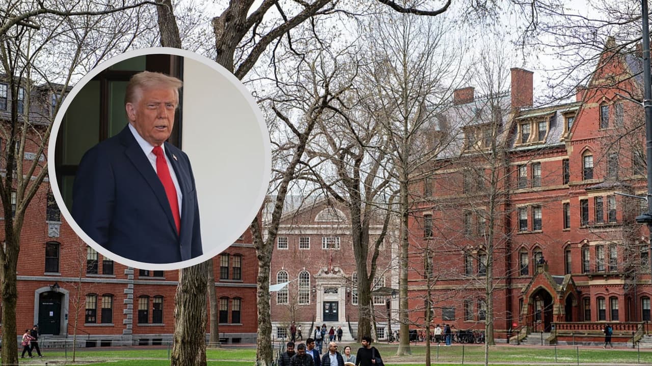 Cómo los ataques de Trump contra Harvard pueden tener “consecuencias para el futuro de la educación superior”