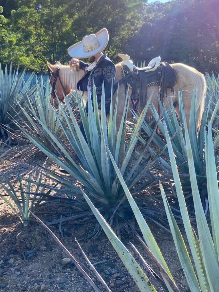 La sesión fotográfica, que se realizó en Tequila, Jalisco, contó con más de 150 imágenes.