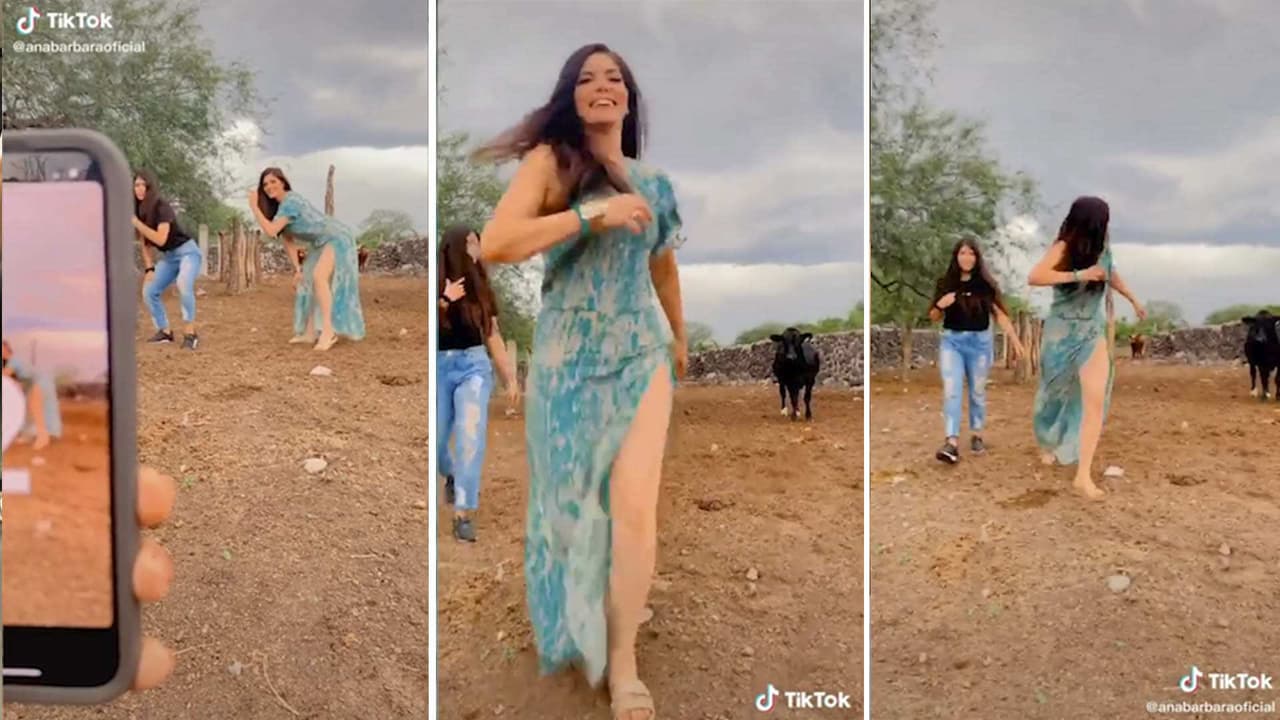 Mira el video donde Ana Bárbara por poco es atacada por una “vaca enojona”