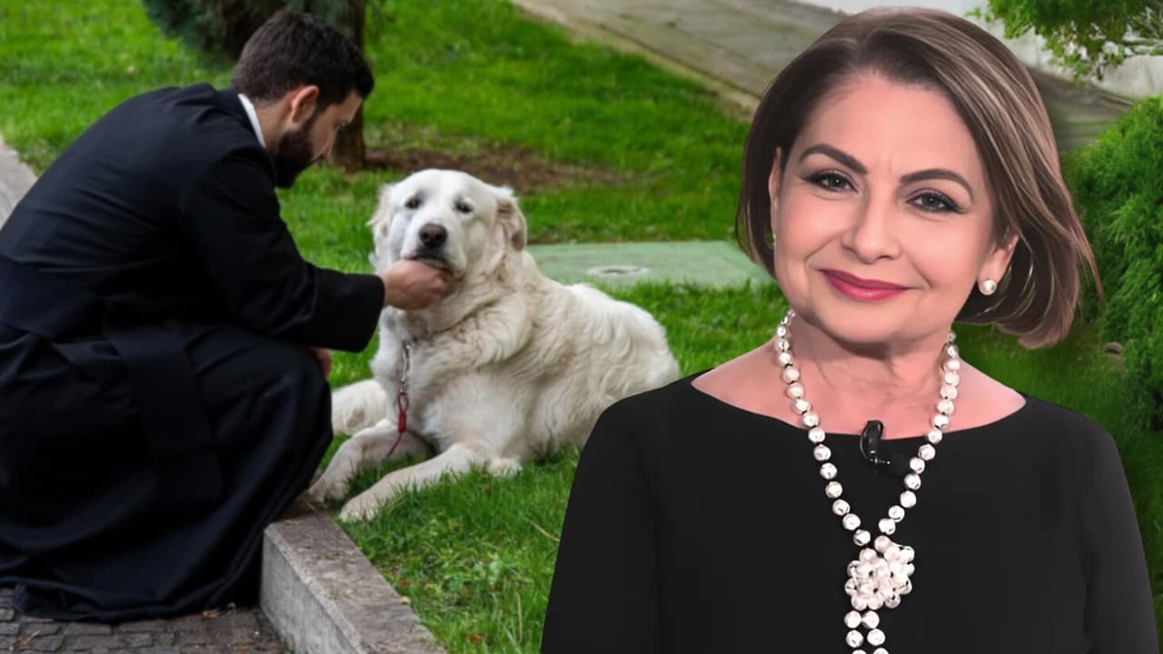 El perrito más católico de Roma: la historia de 'Teo' y su misión en el seminario