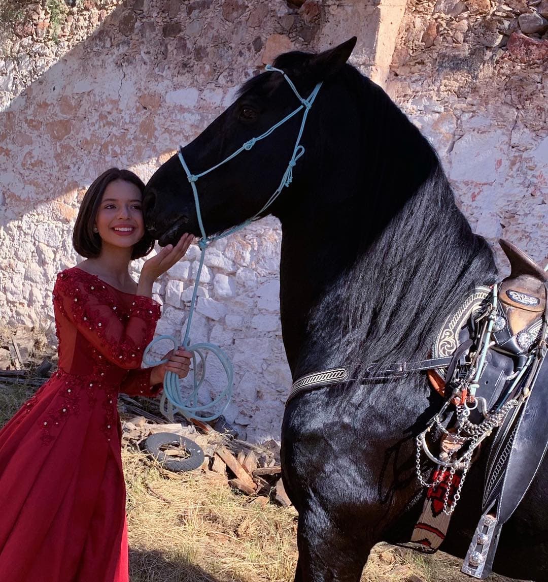 Su primer EP que lanzó, en conjunto con su hermano Leonardo, se tituló "Nueva Tradición". También editó el disco "Navidad con Ángela Aguilar" y cantó junto a su papá en la grabación de su MTV Unplugged.
