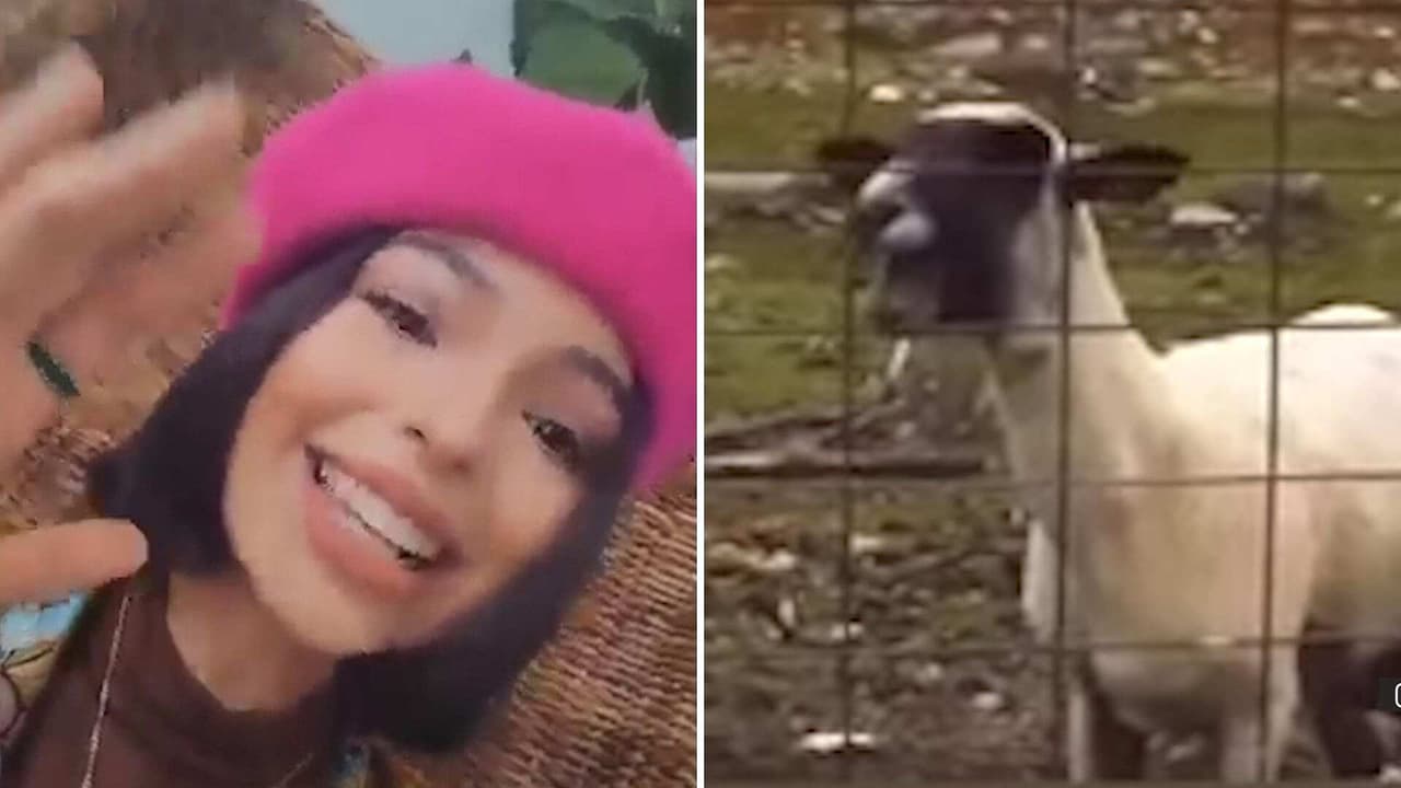 Ángela Aguilar se avienta gracioso gritito y le hacen meme con una cabra