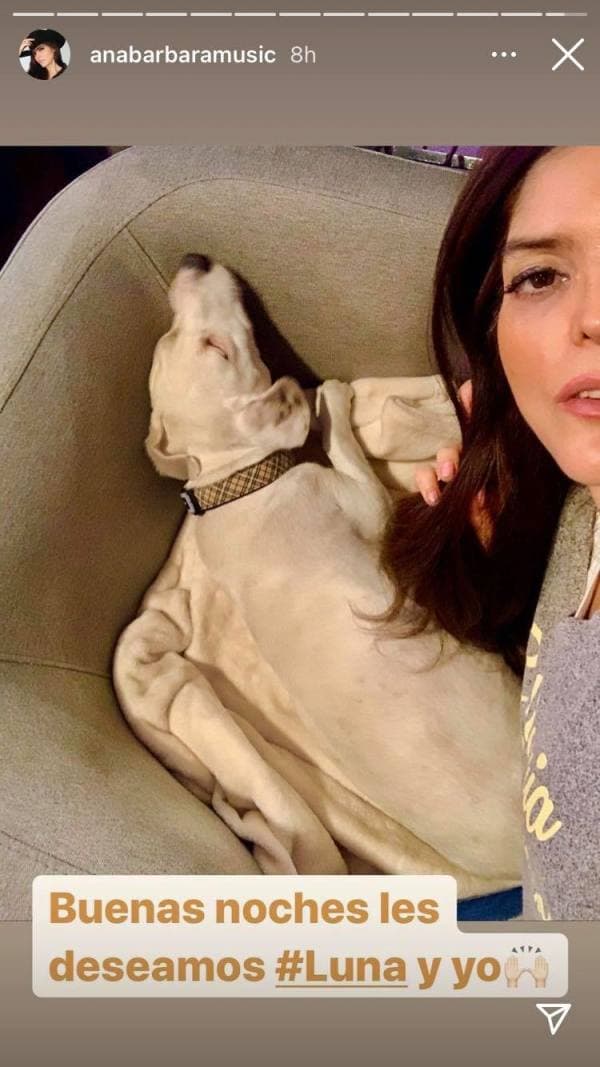 Ana Bárbara. Además de sus conocidos chihuahuas, con los que se ha aventado palomazos, la "Reina Grupera" recién adoptó a una perrita de la calle a la que le puso el nombre de Luna.