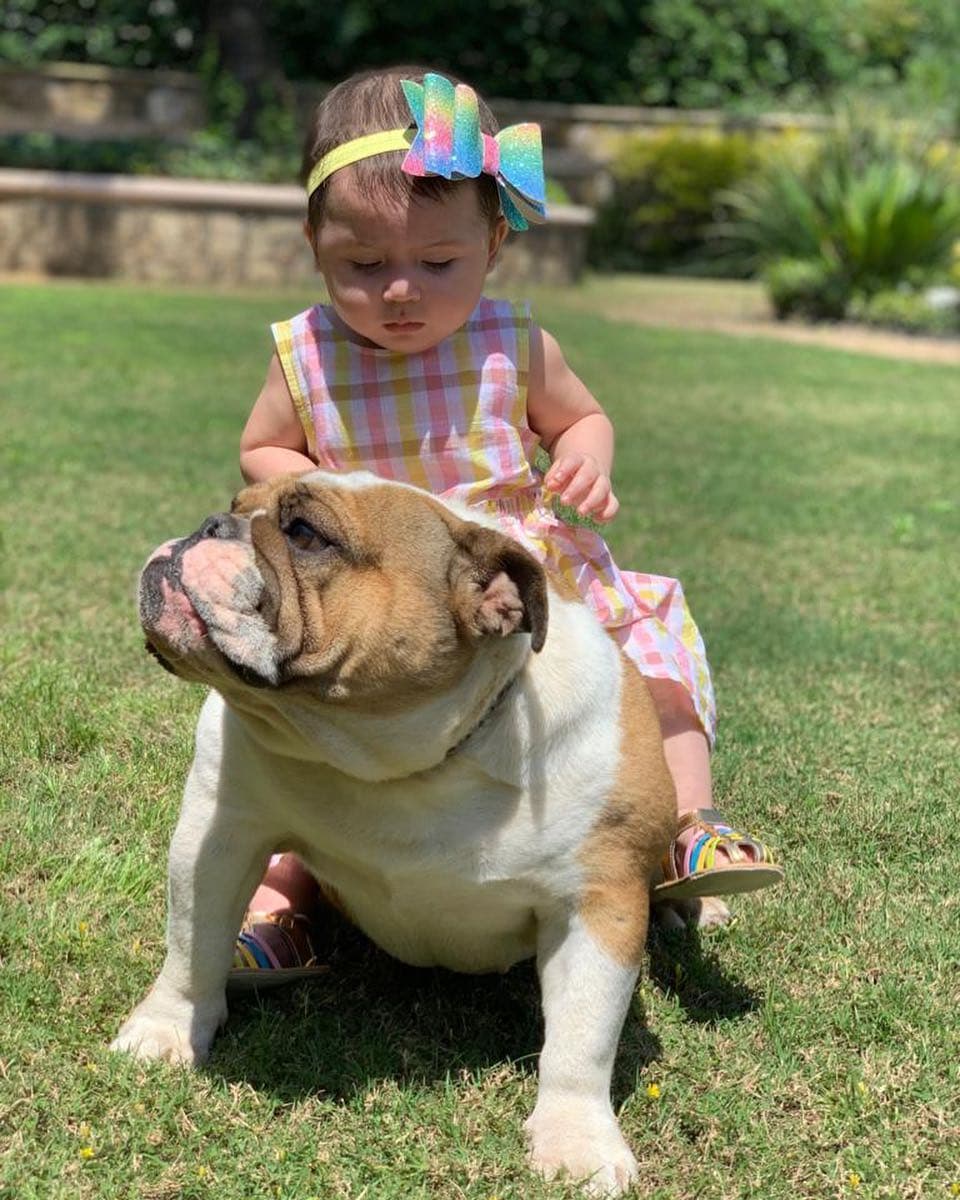 Edwin Luna presumió esta foto de su pequeña hija con su perro.