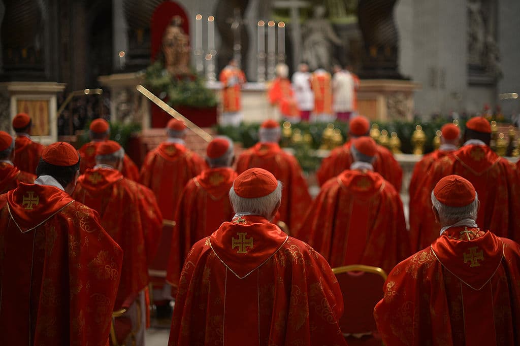 ¿Quiénes son los posibles sucesores de Francisco? 