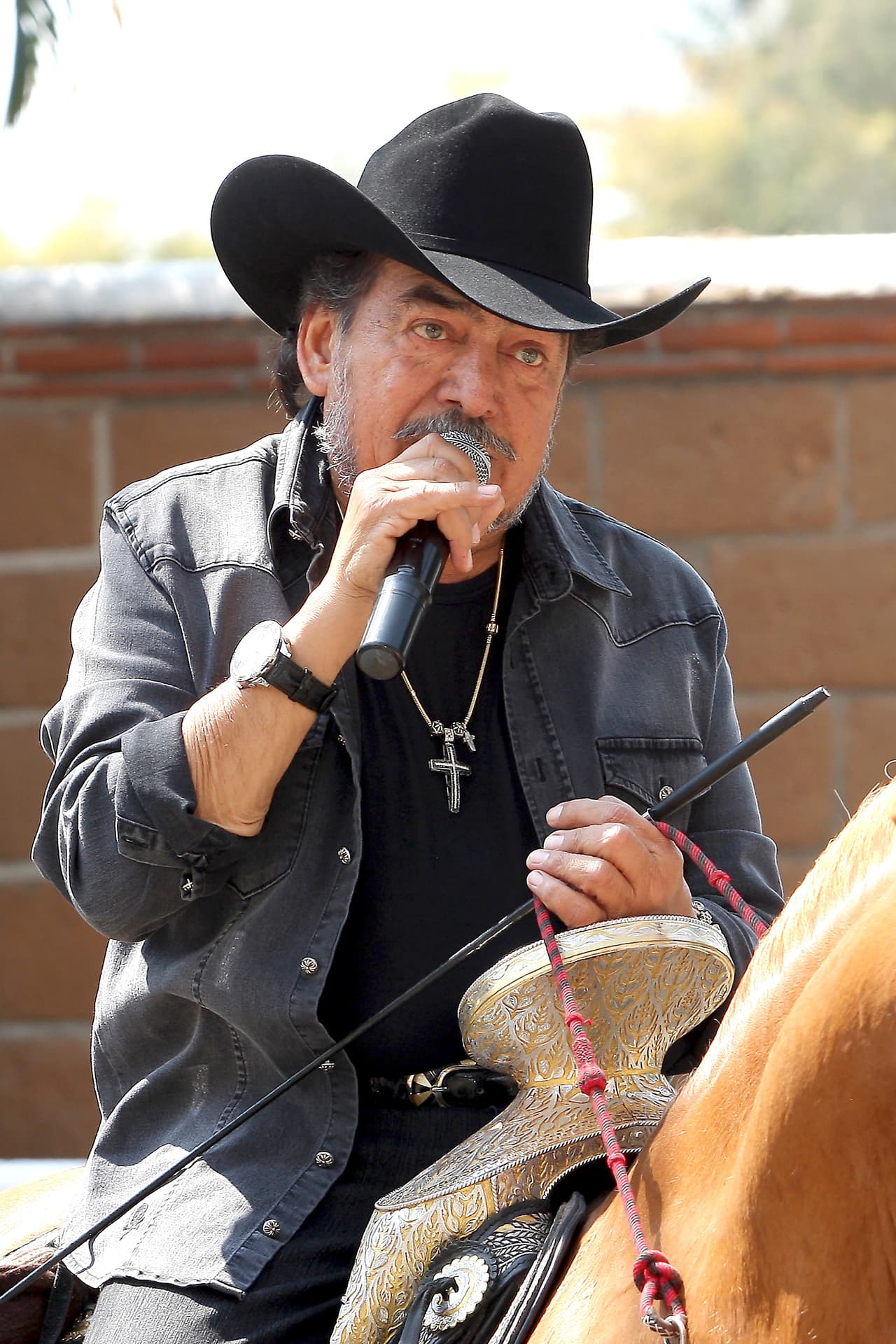 Publicó alrededor de 37 álbumes como solista y compuso canciones para Antonio Aguilar, Pepe Aguilar, Lucero, Alicia Villarreal, Los Freddys, Banda Cuisillos, Alejandro Fernández, Conjunto Primavera, Banda Cariñosa, Banda Morelos, José Manuel Figueroa, Maribel Guardia, Graciela Beltrán, Diego Verdaguer, Alacranes Musical, Rocío Dúrcal, Kiko Montalvo y Vicente Fernández, entre otros.