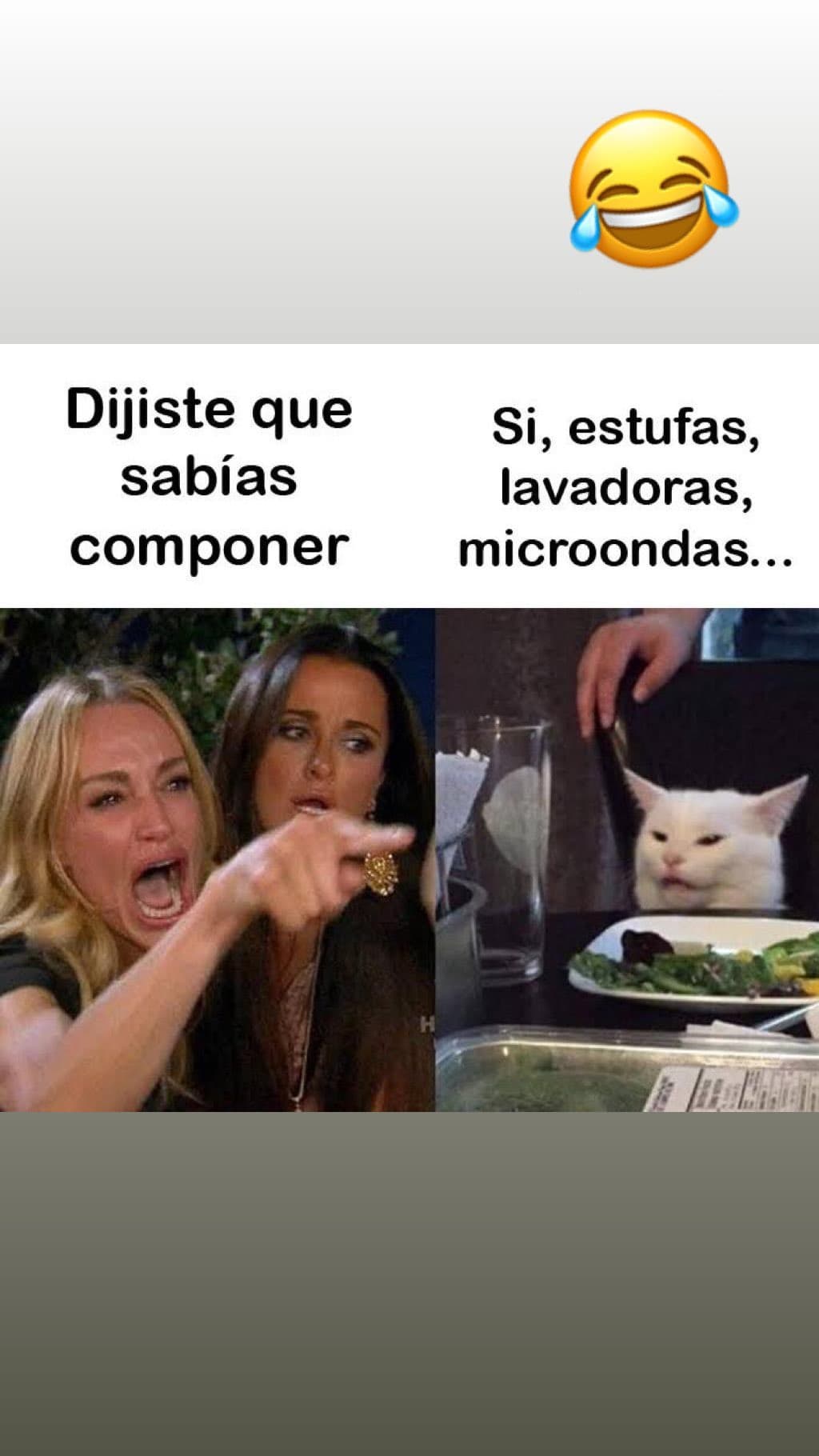 El compositor, Horacio Palencia, de “Amor a Primera Vista” publicó este divertido meme en sus redes sociales.