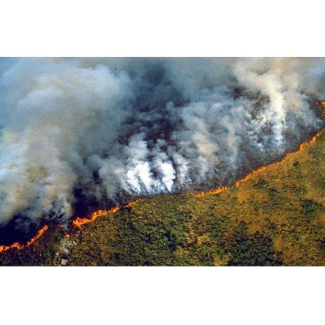 “¿Qué podemos hacer? Como respuesta a esta emergencia dona a grupos que trabajen para proteger el Amazonas y los bosques. Mantente al tanto de esta historia y sigue compartiendo publicaciones. Se un consumidor consciente, apoya a empresas que estén comprometidas con cadenas de suministro responsables. Elimina o disminuye el consumo de carne, la ganadería es uno de los principales conductores de la deforestación amazónica ”, finalizó Belinda.