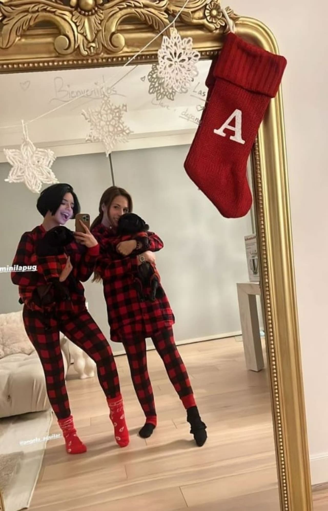 Gordo, Mini, Aneliz y Ángela Aguilar tienen las mismas pijamas navideñas.