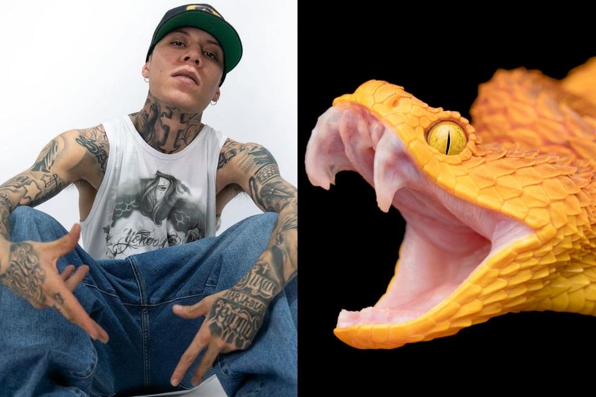 Santa Fe Klan se negaba a tocar una serpiente que llevaron a su concierto.