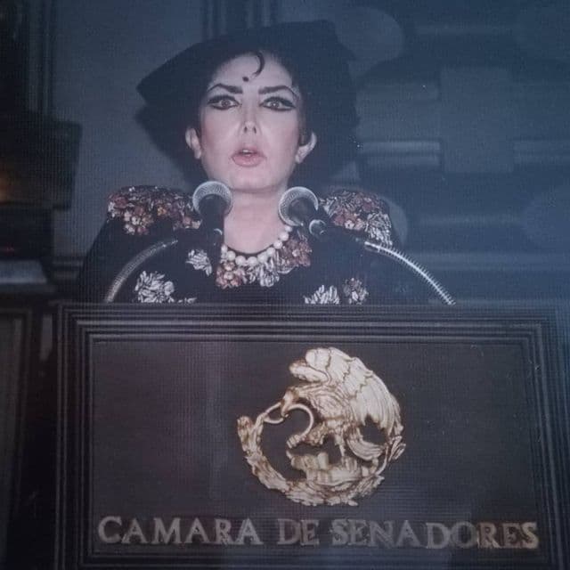 Irma Serrano, "La Tigresa". La actriz, cantante y empresaria mexicana obtuvo en 1998 un puesto como diputada federal por el Partido de la Revolución Democrática (PRD). Además fue senadora de Chiapas.
