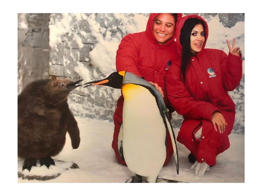 Y acariciaron a un pingüino mientras “estaban” en el polo norte.