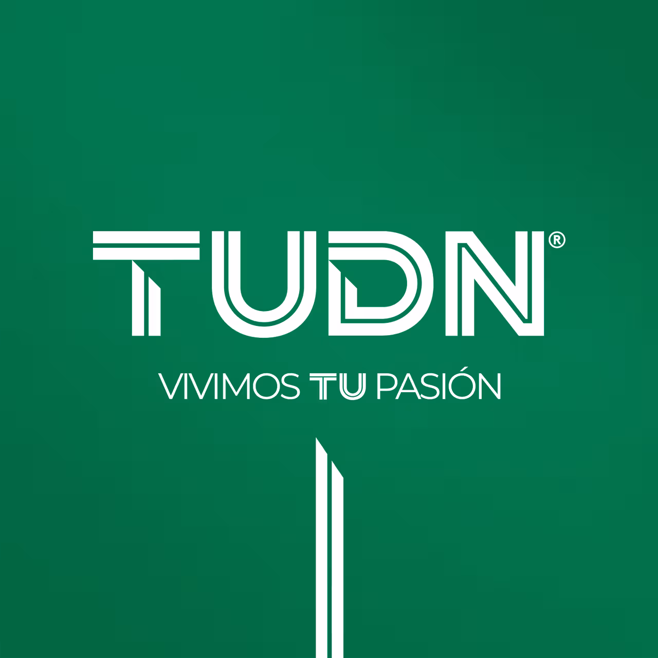 ¡TUDN cumple su primer primer año! | Shows Bandamax Bandanews | Bandamax